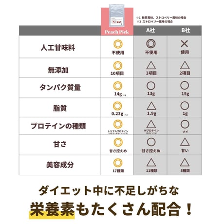 ５日間ダイエットプロテイン10食スタートセット 【味が選べる2種類】