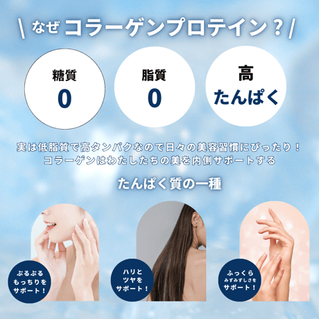 【在庫限り】【無糖】HOTで飲める！紅茶プロテイン 【約1ヶ月分】 210g※廃盤予定の商品です※