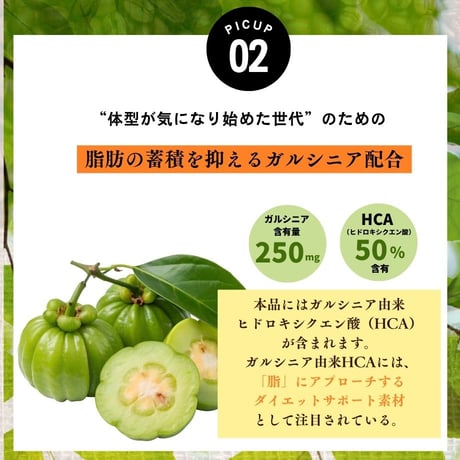 【公式サイト限定販売】選べるお試し個包装！ダイエットコーヒープロテイン（ブラックコーヒー＋ガルシニア）
