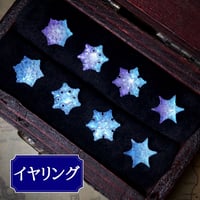 2色＊不思議な泉の溶けない雪の華　イヤリング