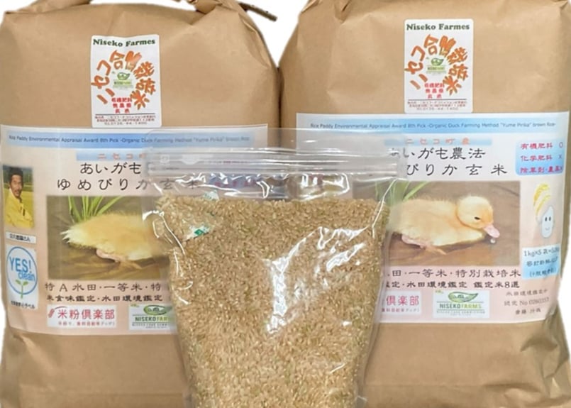 令和元年度 梨北米 80kg 1等米 減農薬 農家直送 000000000031_V9y7isM.jpg