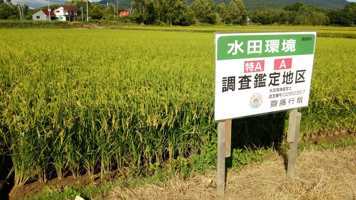 令和2年度米   はで干し 無農薬！！ 中道農園：有機栽培ササニシキ 優 白米 2.5kg ｜ 無農薬JAS認証
