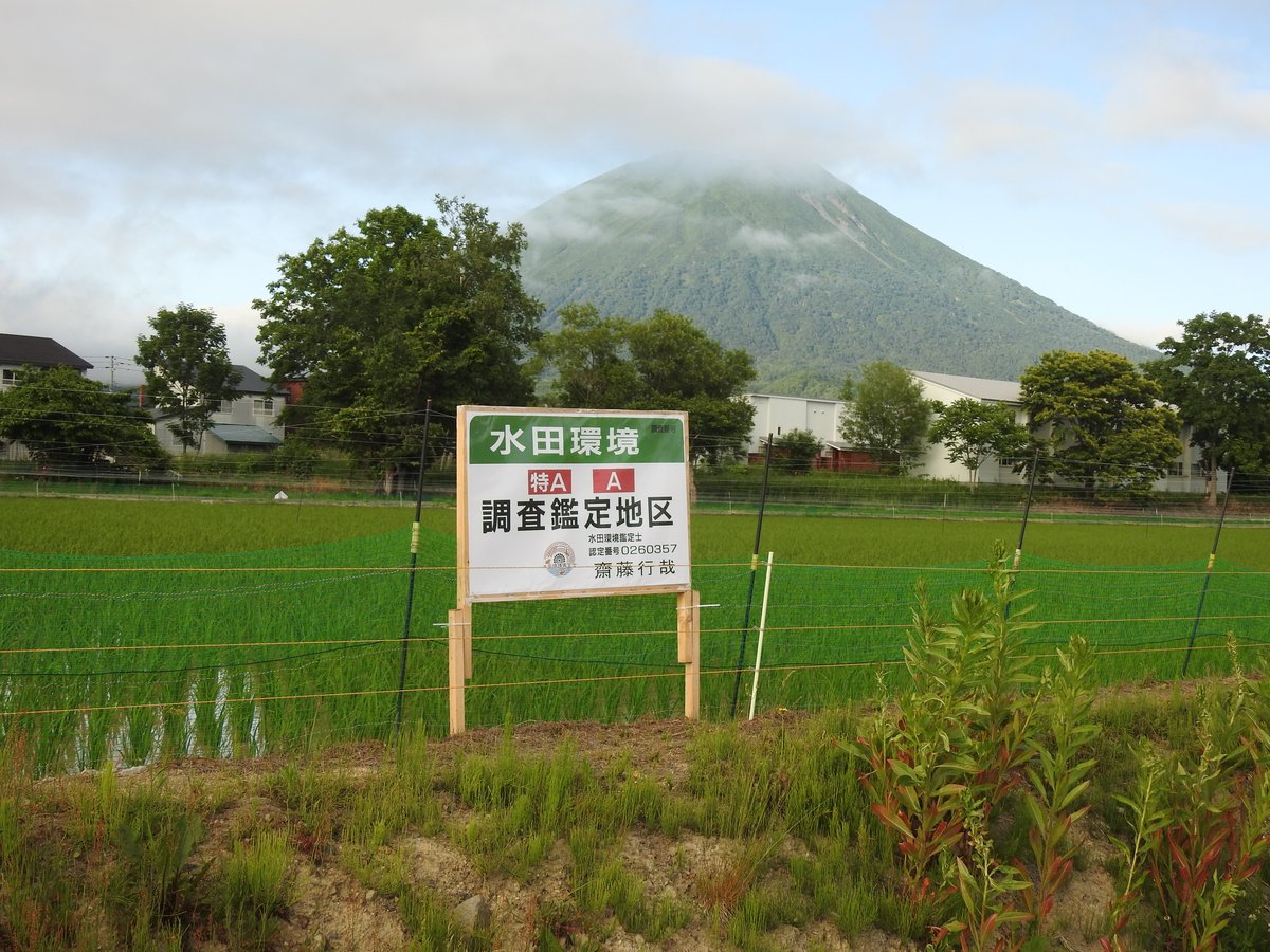 新米】 合鴨農法ななつぼし 大和黄金米 玄米 10kg 2Pack 令和7