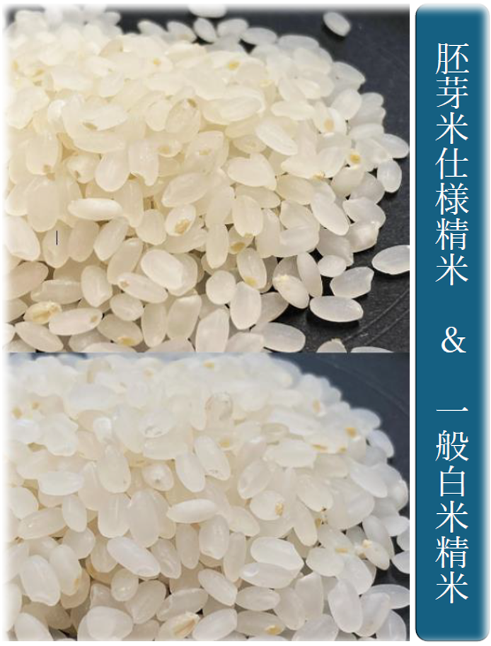新米】合鴨農法ゆめぴりか 大和黄金米 精米『正味10kg 2Pack』』 令和