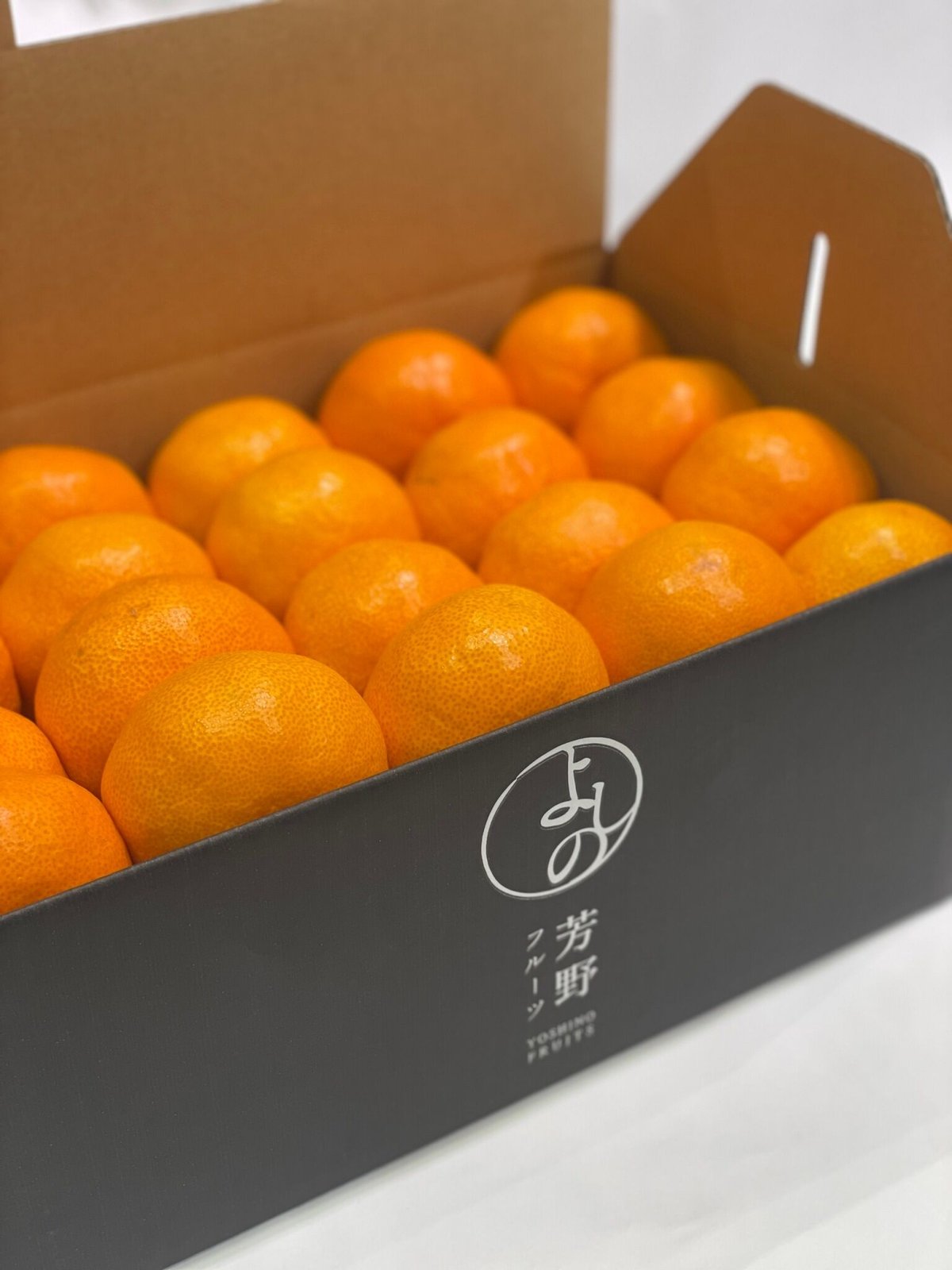 事前割引】熊本県産汐みかん（温州みかん）５kg詰合せ　芳野フルーツ