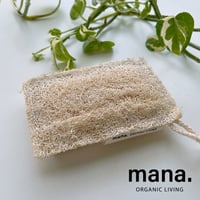 mana. 【地球に優しい】自然素材のキッチンスポンジ 【3個セット】　【メール便アイテム】