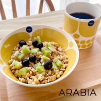 【お取り寄せ】　ARABIA/アラビア  Sunnuntai/スンヌンタイ　ボウル17cm