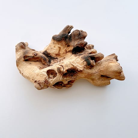 CRAFT GLASS WOOD　流木ガラスオブジェ 06　ハンドメイドガラス1点もの