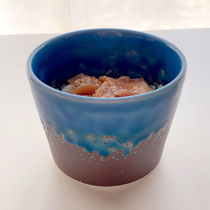 有田焼 堅窯 南蛮瑠璃 高台皿 5客 陶芸 南蛮ルリ 刺身皿 盛皿