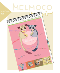 はじめてのめるもこカタログ
