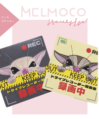 ドラレコ録画ステッカー(2種類（中のみ