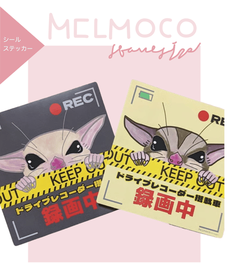 ドラレコ録画ステッカー(2種類（中のみ