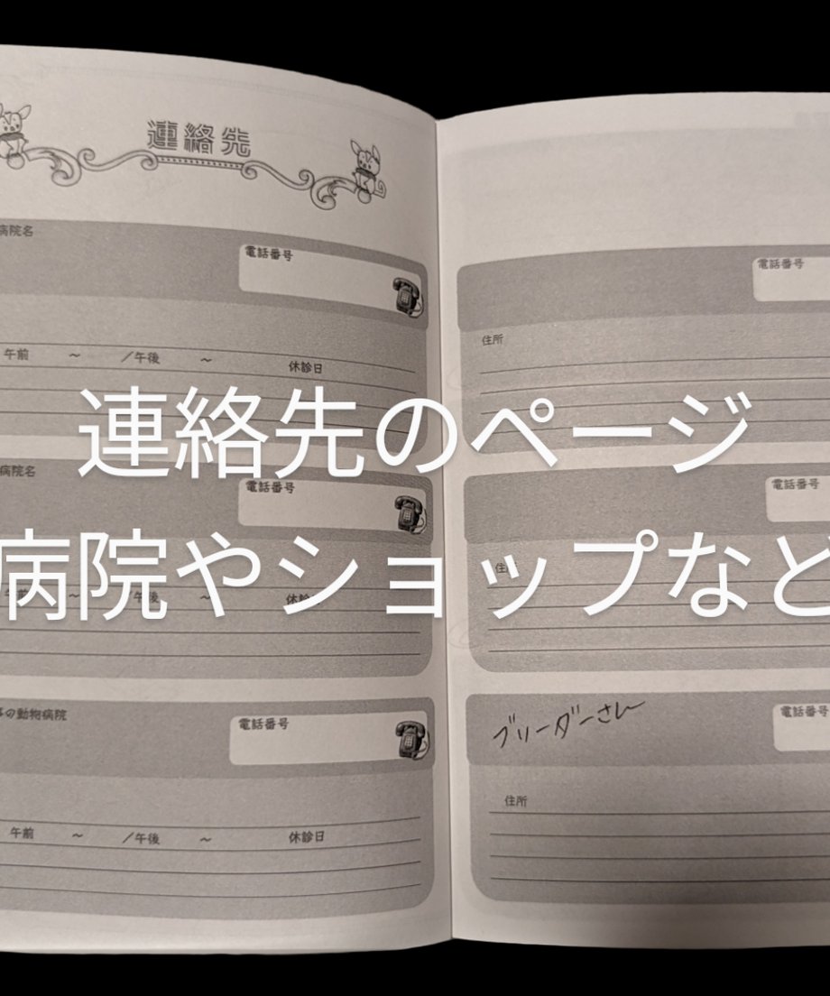 647ea86a24fa030047f75545