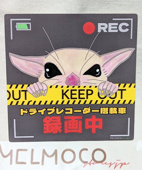 ドラレコ録画ステッカー(2種類（中のみ