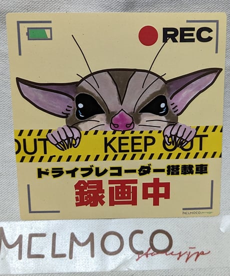 ドラレコ録画ステッカー(2種類（中のみ
