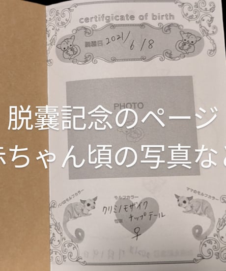 フクロモモンガの母子手帳（1ヶ月分のメモ付き