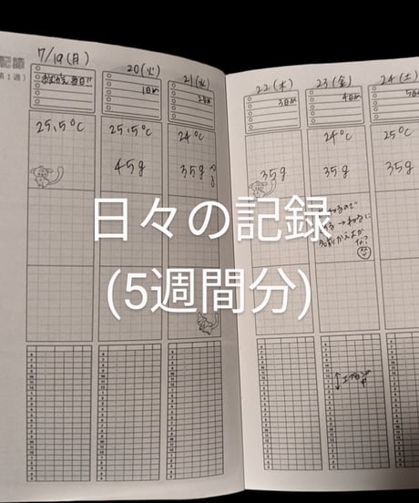 フクロモモンガの母子手帳（1ヶ月分のメモ付き