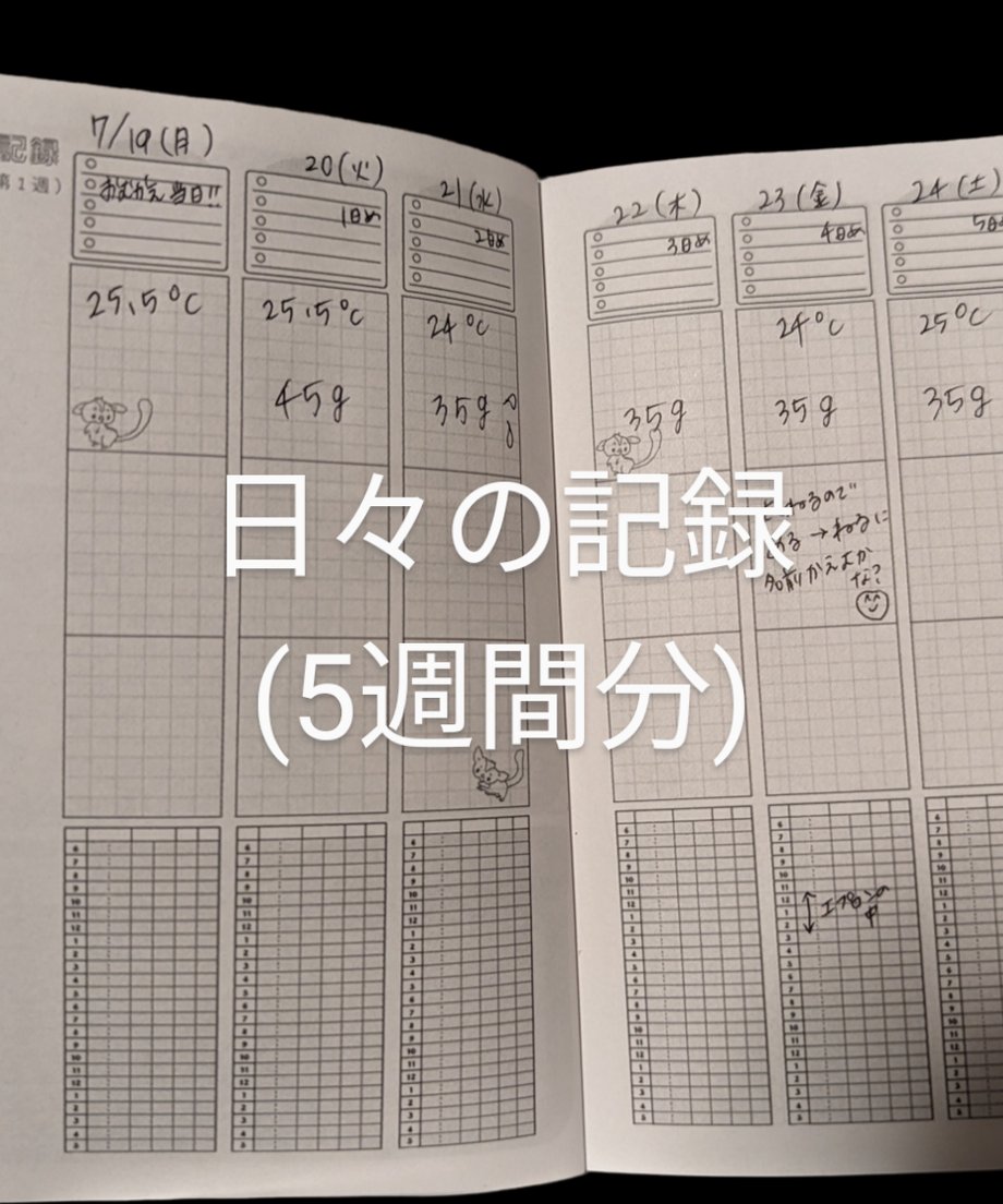 647ea86a24fa030047f75545