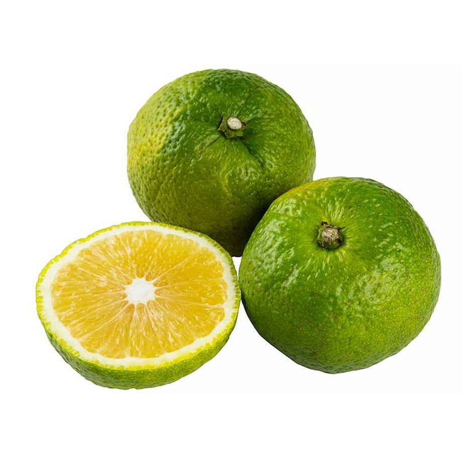 6a261e084fbfd196e06451fb