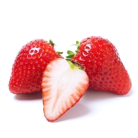 【4月28日週発送分 予約販売】季節のケーキ エクレア 4個入（簡易包装）