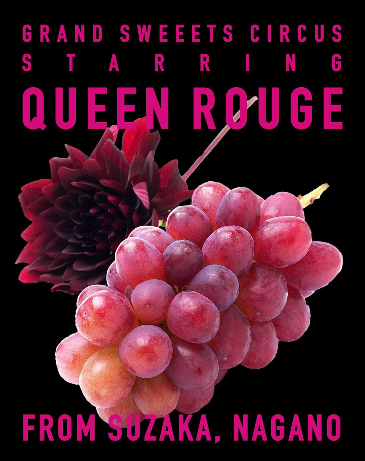 信州産　クイーンルージュふた房・ 紅信ひと房は真ん中です♪ 信州産 クイーンルージュふた房・ 紅信ひと房は真ん中です♪ クイーン