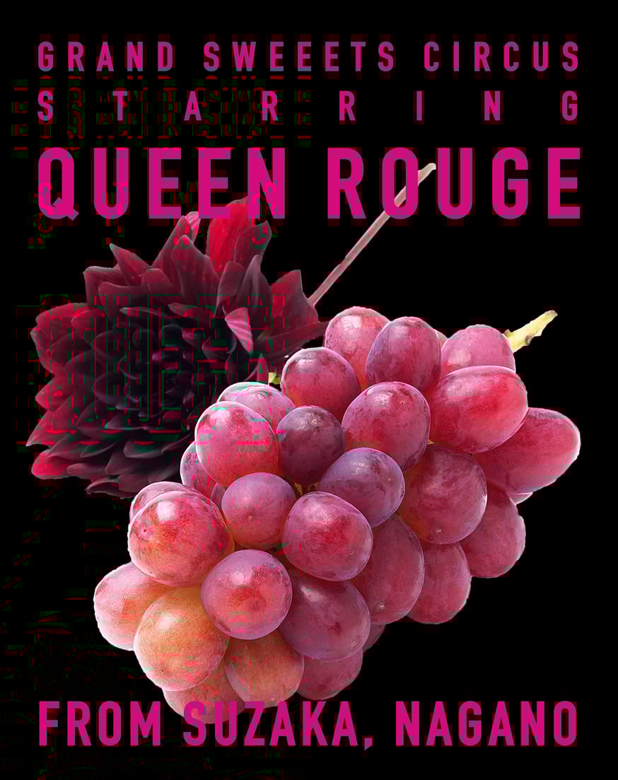 信州産 クイーンルージュふた房・ 紅信ひと房は真ん中です♪ 楽天市場