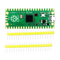 Raspberry Pi Pico (Type-B)