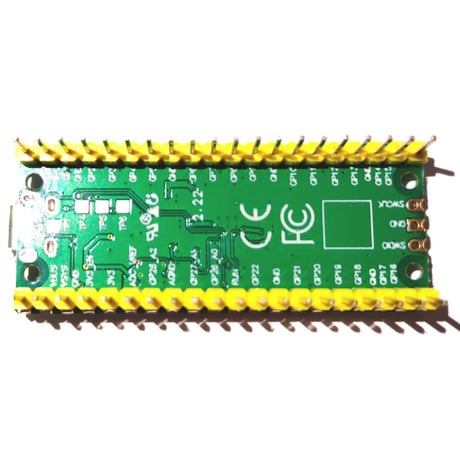 Raspberry Pi Pico (Type-B)
