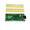 Raspberry Pi Pico (Type-C)