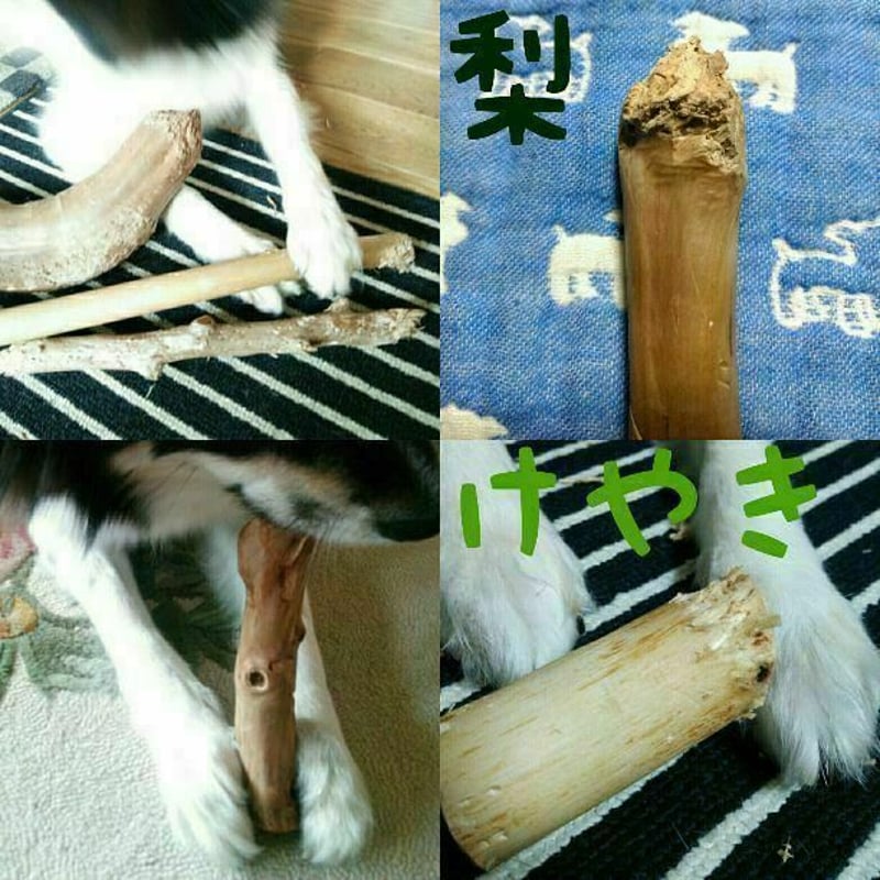 に.犬用おもちゃ、超小型犬国産枝おもちゃ、歯固め、かじり木