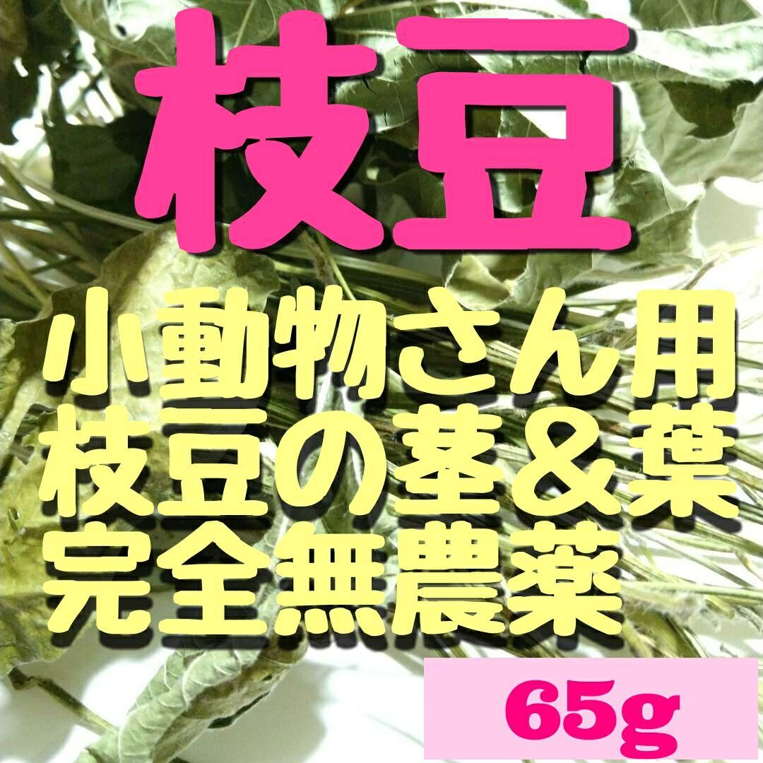 65g.完全無農薬家庭菜園、枝豆の茎と葉っぱセット♬乾燥小枝デグー