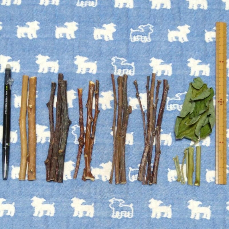 6種類セット☆桑＆梨＆桃&りんご＆ル・レクチェ、枝豆♬乾燥小枝