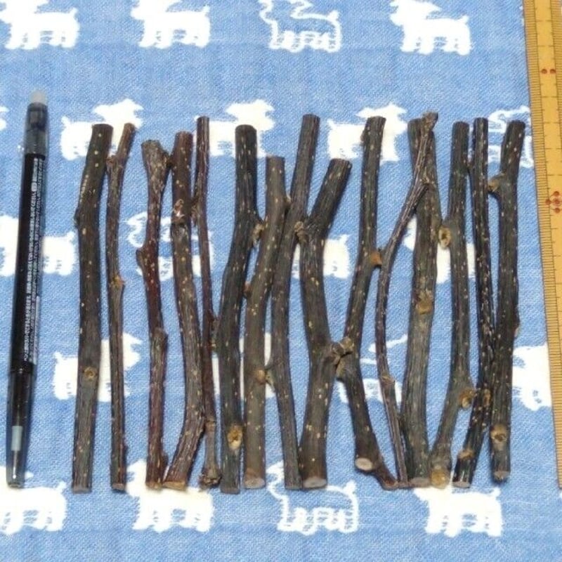 梨小枝40g15本程度、鳥デグーハムスター小動物かじり木、梨の木の乾燥
