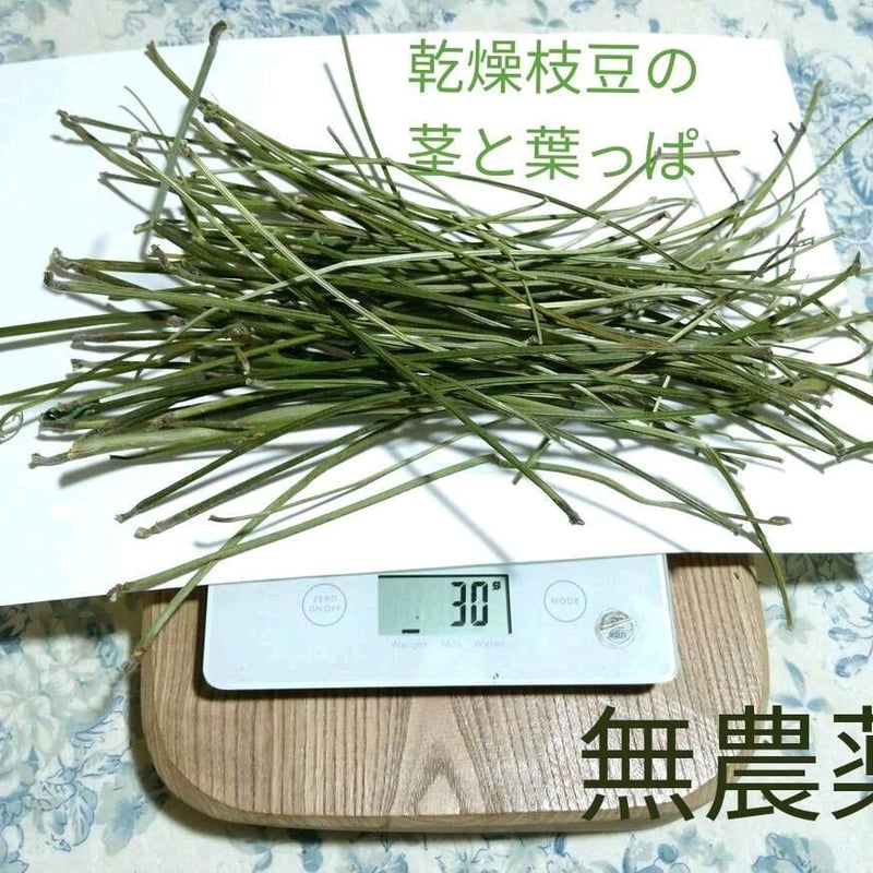 65g.完全無農薬家庭菜園、枝豆の茎と葉っぱセット♬乾燥小枝