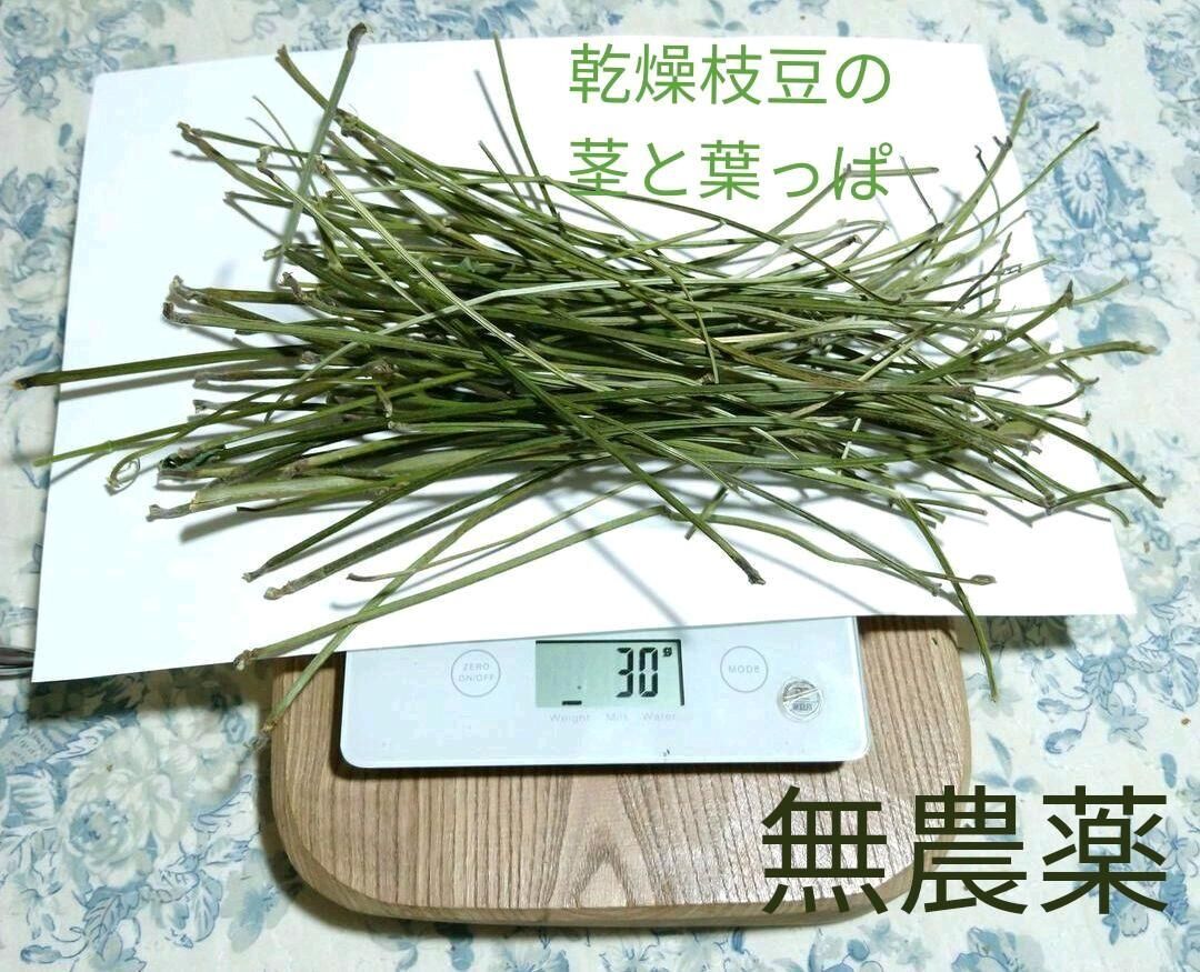 枝豆&茎、小枝、デグーやハムスターのおやつ fit=scale-down,w=1200