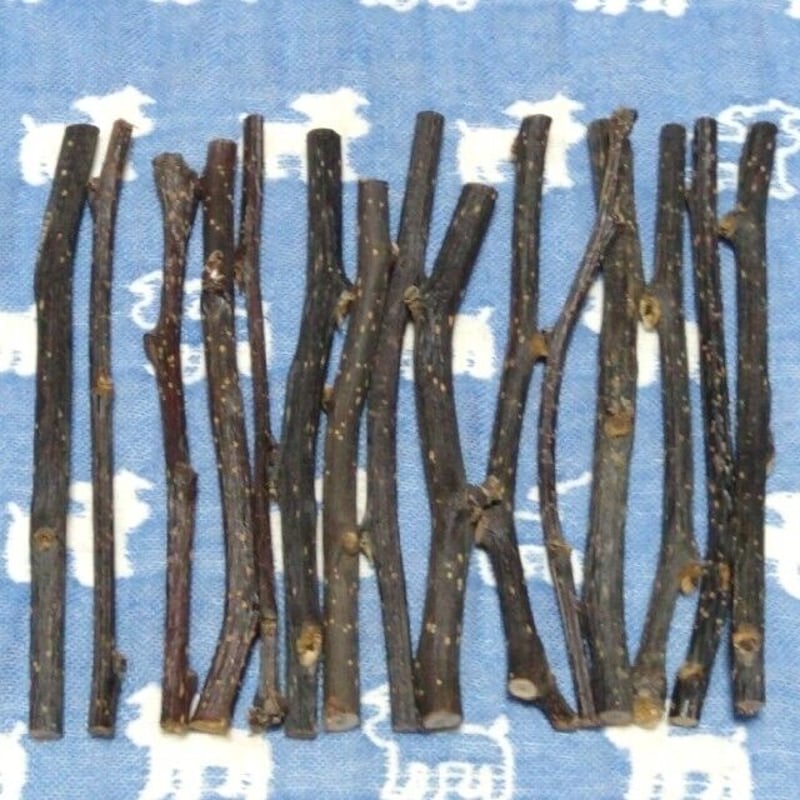 梨小枝40g15本程度、鳥デグーハムスター小動物かじり木、梨の木の乾燥