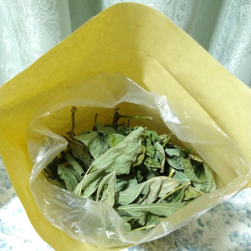 65g.完全無農薬家庭菜園、枝豆の茎と葉っぱセット♬乾燥小枝デグー