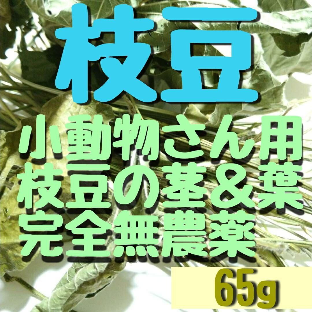 65g.完全無農薬家庭菜園、枝豆の茎と葉っぱセット♬乾燥小枝デグーハムスターさん