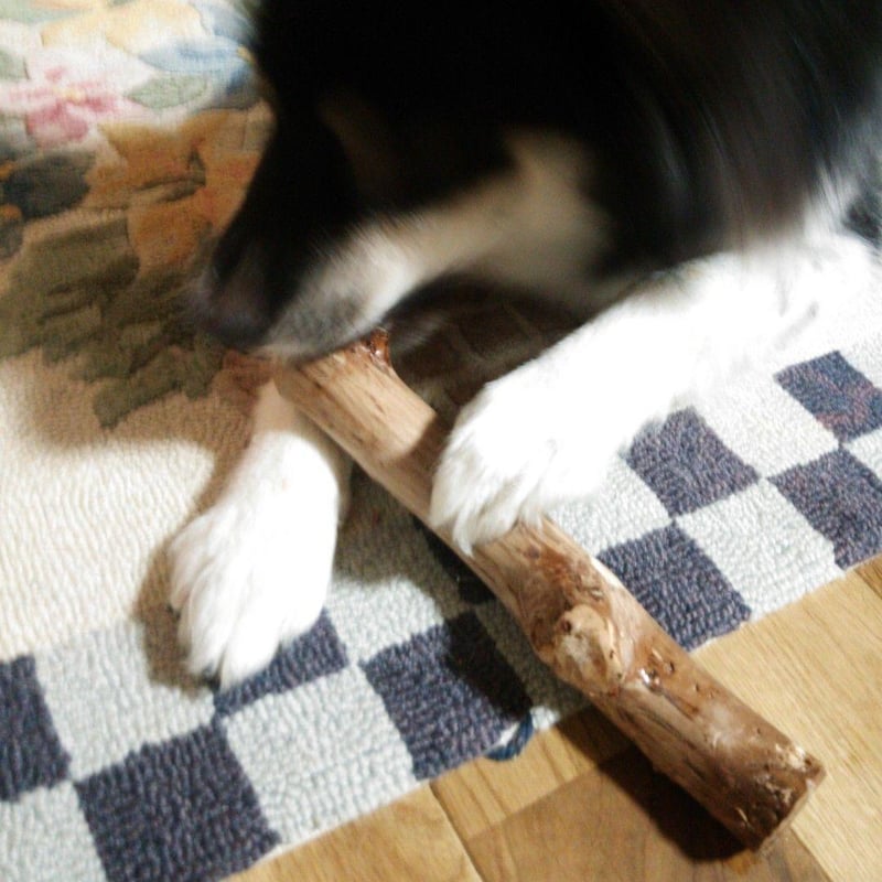◉731.犬のおもちゃ犬用、かじり木、あまがみ対策、梨の木、小型犬向き 398.犬のおもちゃ犬用、かじり木梨の木、あまがみ対策、歯固め、小型犬