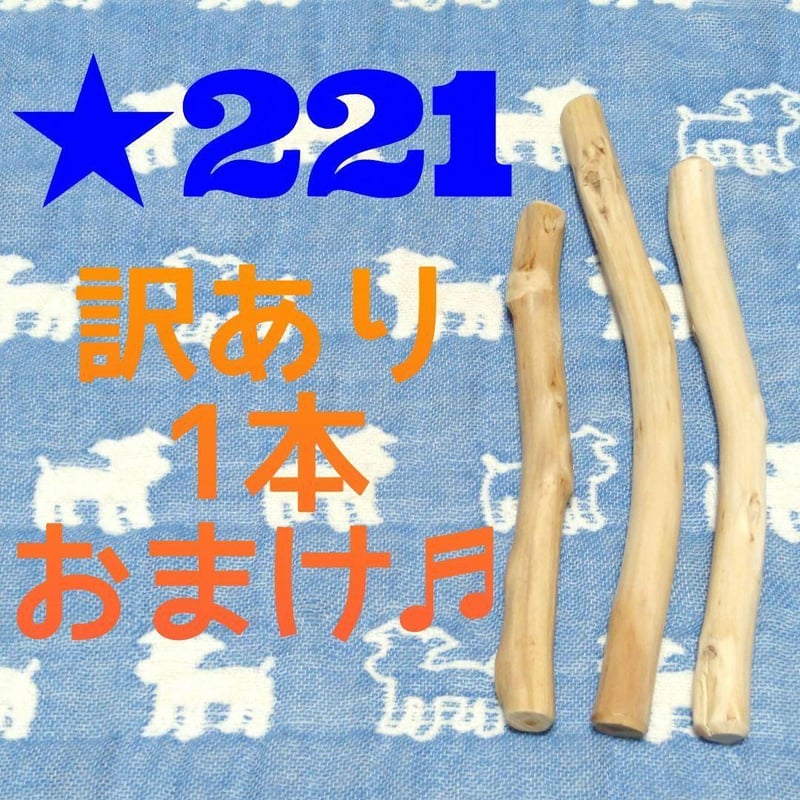☆221.犬用国産梨の木、枝、おもちゃ超小型犬向け？歯固め、かじり木