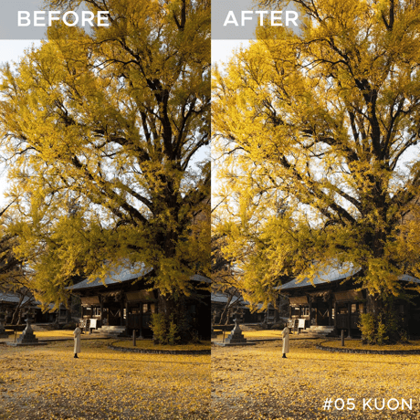 KONI's Preset “Evocative”