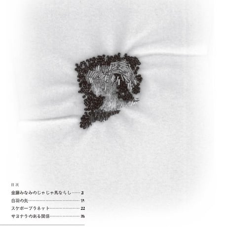 【小説】金藤みなみのじゃじゃ馬ならし [ZINE]