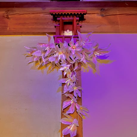 妖怪イヌジマになったつもりの狸の掌 no.72 -七色変化 - と  養甫の躑躅 セット