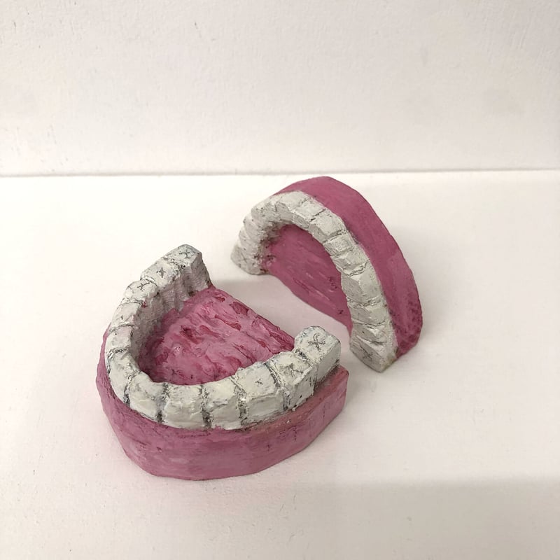 【ヴィンテージ／歯科模型】リアル歯列標本 レジン封入・希少インテリア 昭和レトロ ヴィンテージ／歯科模型】リアル歯列標本 レジン封入・希少インテリア