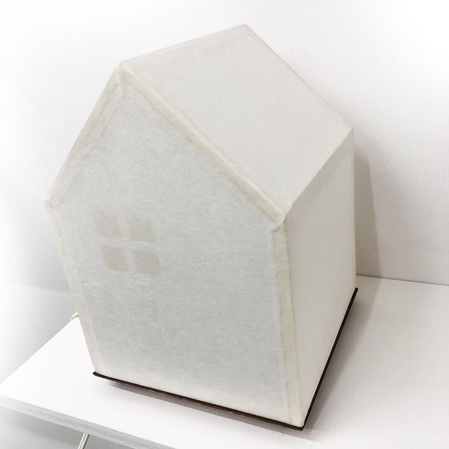 6203868c1dca326ff344661d