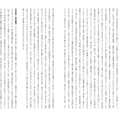 【小説】金藤みなみのじゃじゃ馬ならし [ZINE]