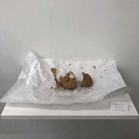 安土早紀子 「海からきた」土佐清水の土と貝