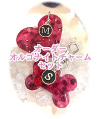 【オーダーメイド】オルゴナイトチャームセット（大）