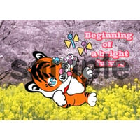 4月限定 TAROOオリジナルイラストポストカード（直筆メッセージ付き）