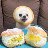 一族のかぶりもの